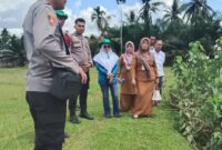 Kapolsek Cerenti IPTU Peri Padli memimpin langsung peninjauan dan pengecekan lahan pertanian seluas 6 hektare (60.000 meter persegi) yang tersebar di enam desa di Kecamatan Cerenti, Kabupaten Kuantan Singingi (Kuansing), Riau (Dok.Eki/GNews86)