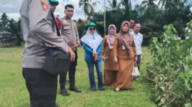 Kapolsek Cerenti IPTU Peri Padli memimpin langsung peninjauan dan pengecekan lahan pertanian seluas 6 hektare (60.000 meter persegi) yang tersebar di enam desa di Kecamatan Cerenti, Kabupaten Kuantan Singingi (Kuansing), Riau (Dok.Eki/GNews86)