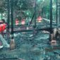 Kebakaran rumah milik Siti Patimah (80) Tahundi Desa Pulau Ingu, Kecamatan Benai, Kabupaten Kuansing, Riau, Rabu (6/5/2026) sekitar pukul 17.00 WIB. (Dok.RA)