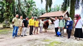 Kabid Peternakan Disbunnakkan Inhu, Mufrizal ST (empat dari kanan) bersama staf saat mendampingi tim provinsi ketika meninjau sapi milik Nurman di Desa Pontian Mekar Kecamatan Lubuk Batu Jaya.(Disbunnakkan Inhu)
 