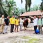 Kabid Peternakan Disbunnakkan Inhu, Mufrizal ST (empat dari kanan) bersama staf saat mendampingi tim provinsi ketika meninjau sapi milik Nurman di Desa Pontian Mekar Kecamatan Lubuk Batu Jaya.(Disbunnakkan Inhu)
 