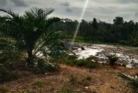 Tambang Emas Ilegal di Objek Wisata Danau Kebun Nopi Kuansing Riau (Dok.Candra)