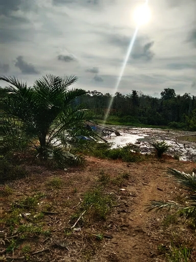 Tambang Emas Ilegal di Objek Wisata Danau Kebun Nopi Kuansing Riau (Dok.Candra)