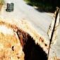 Badan Jalan Muara Lembu - Pangkalan Indarung Kuansing Amblas (Dok.GNews86)