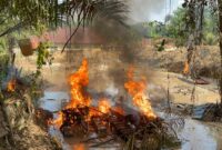 Pembakaran lima unit alat penambangan Emas Ilegal jenis "stingkai" oleh Polres Kuansing di Desa Sungai Jering (Dok.Humas Polres Kuansing)