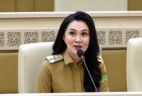 Gubernur Maluku Utara Sherly Tjoanda berbicara dalam rapat Komisi II DPR RI di Jakarta, Selasa (9/6/2026), mengenai tantangan keuangan daerah dalam memenuhi pembayaran gaji PPPK hingga akhir tahun.