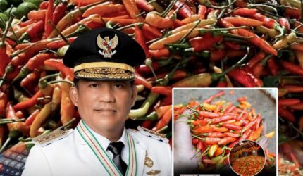Ini Langkah Gubernur Antisipasi Harga Cabai yang Makin 'Pedas' di Sulut